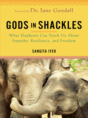 cover image of Gods in Shackles